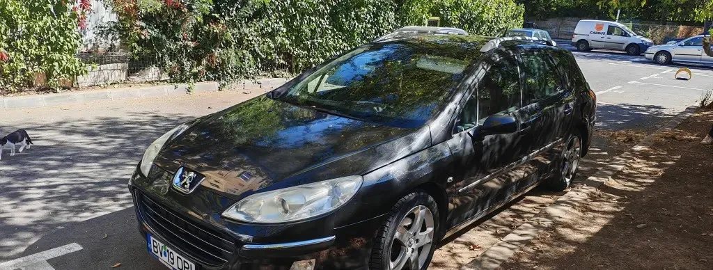 Peugeot 407 sw auto 2 0 hdi 2 700 eur