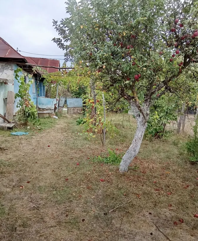 Pojogeni Tg Carbunesti