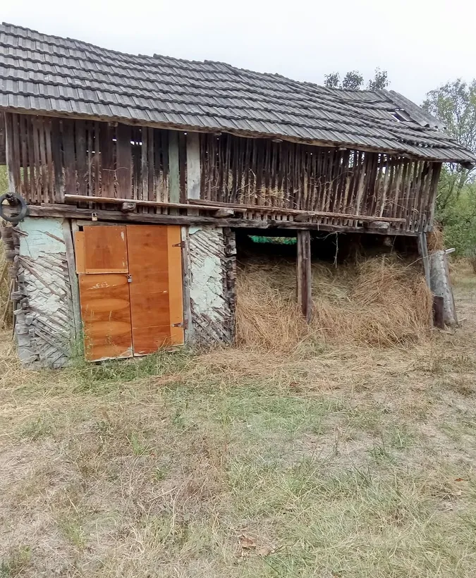 Pojogeni Tg Carbunesti