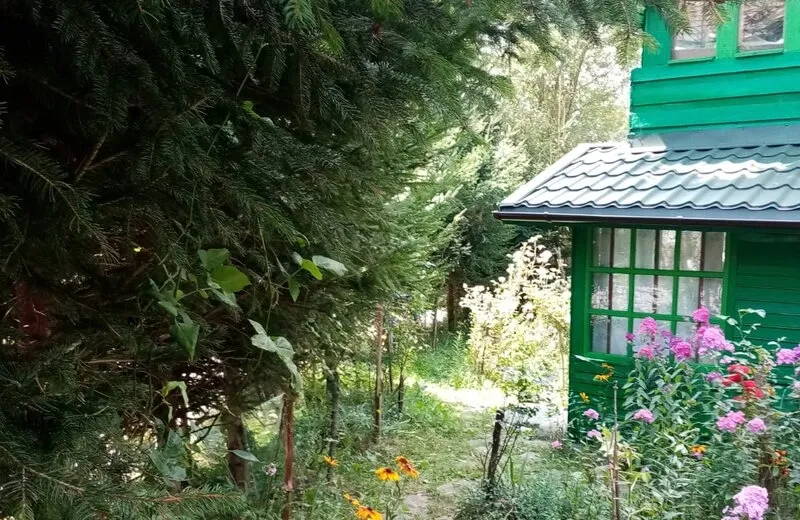 Valea Doftanei