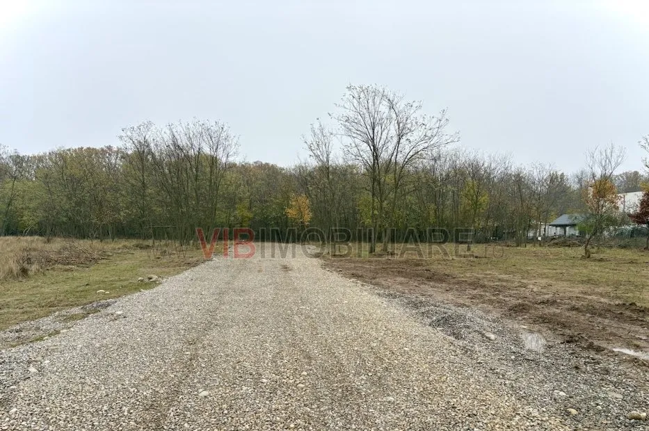 Teren intravilan de vanzare in Snagov - Ciofliceni