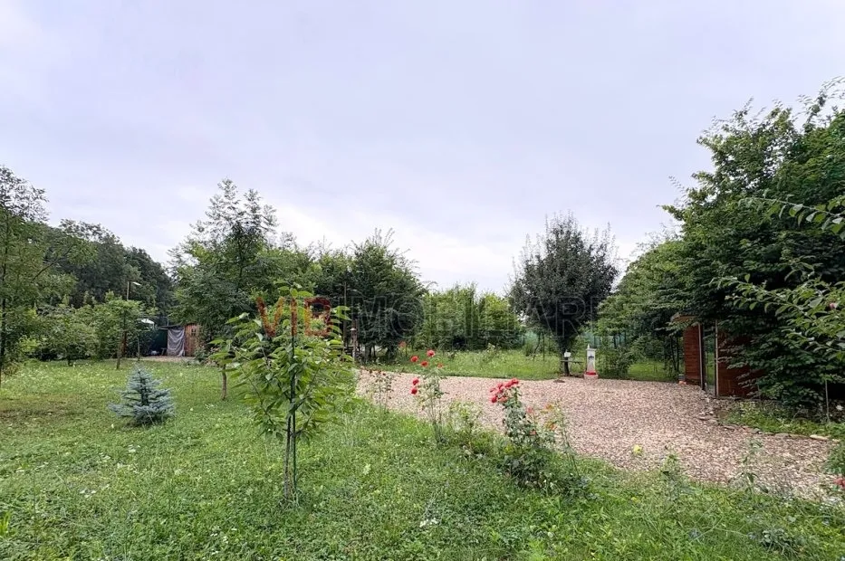 Teren cu vedere la padure - Snagov Ghermanesti Str Razboieni