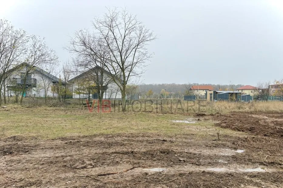 Snagov Ciofliceni teren intravilan de vanzare