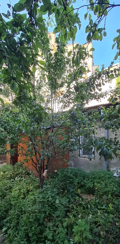 Nicolae Iorga Piata Romana Bucuresti