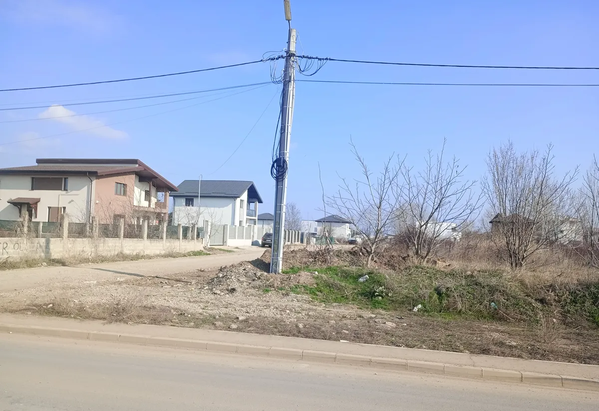 Pantelimon Rascoalei stradal