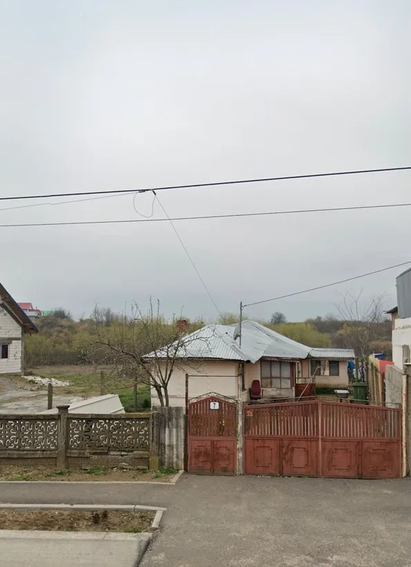 Adunatii Copaceni
