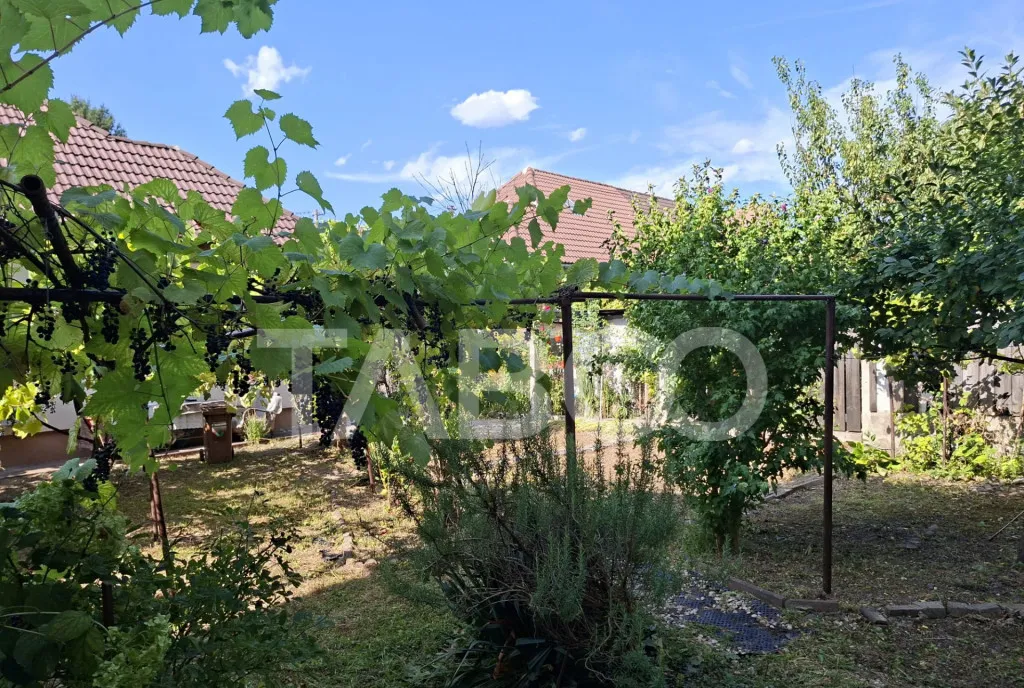Casa cu 2 camere decomandate 335 mp teren in zona Parcul Tin