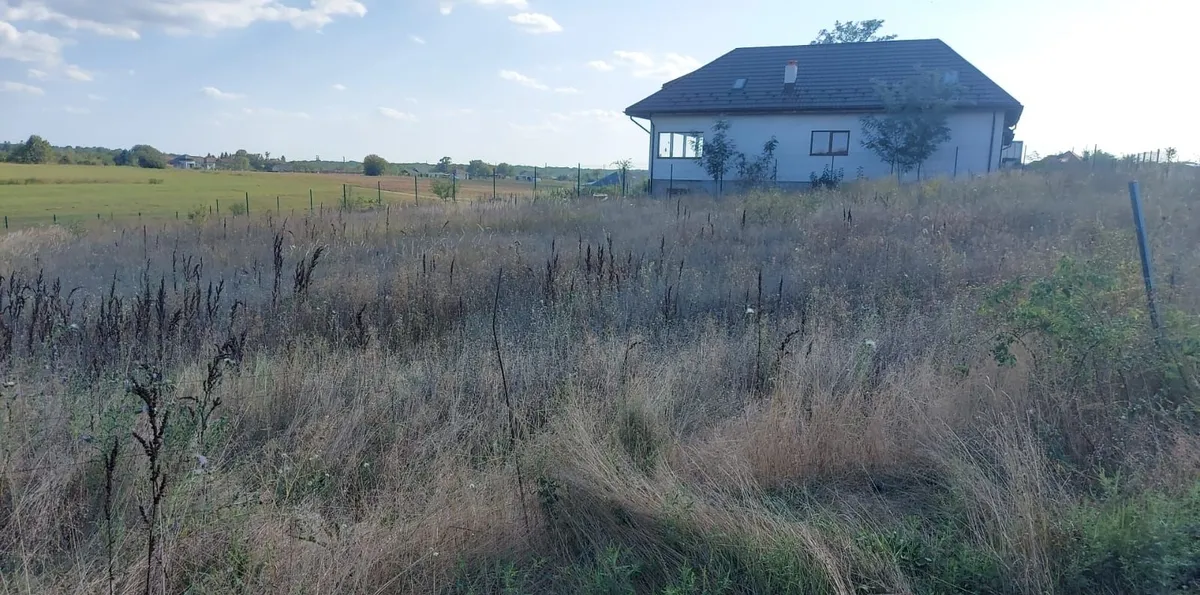Balteni Peris Teren intravilan 800 mp