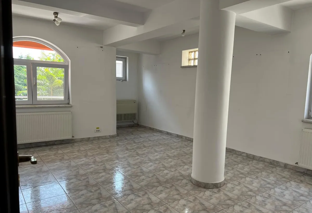 Barbu Vacarescu Pescariu vila P 2 M de vanzare