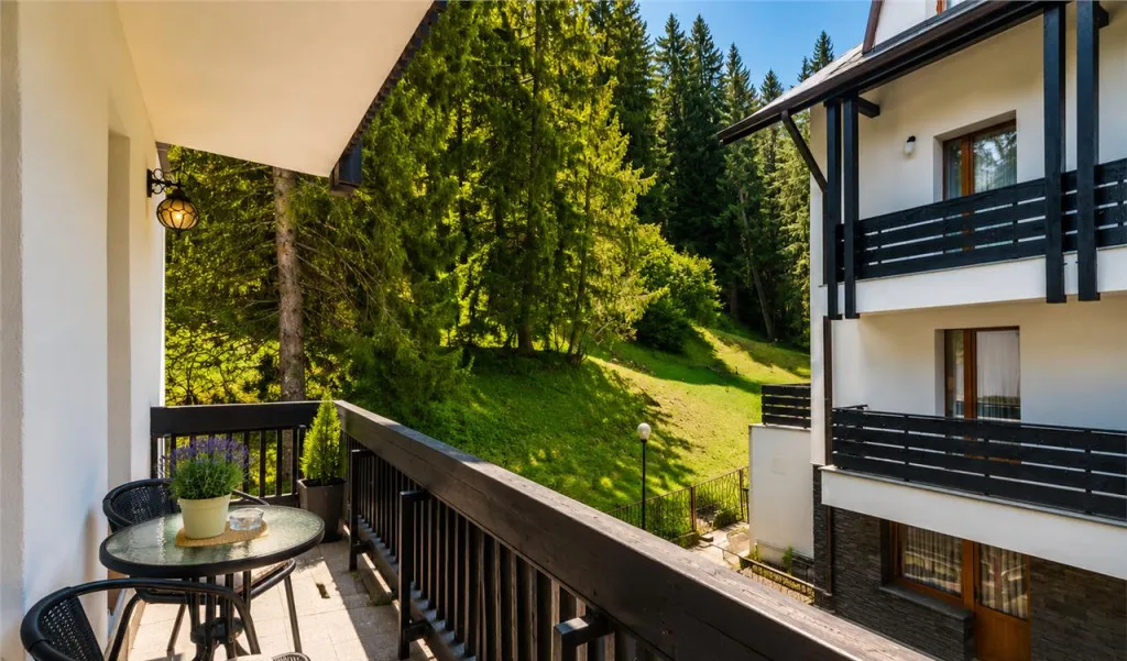 Imobilare Transfer de Afaceri in centrul statiunii Poiana
