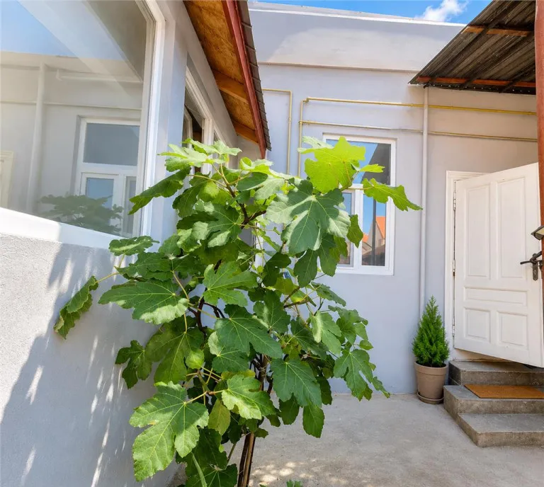 Corp de casa cu 2 imobile intrari separate pod si beci gen