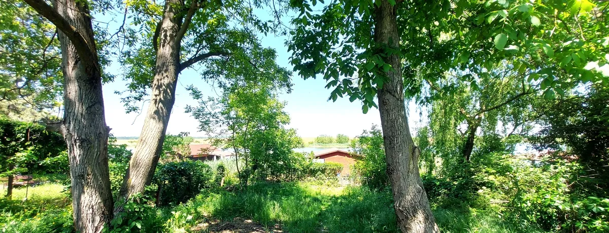Snagov Ciofliceni Teren cu deschidere la lac Ponton si garaj barca
