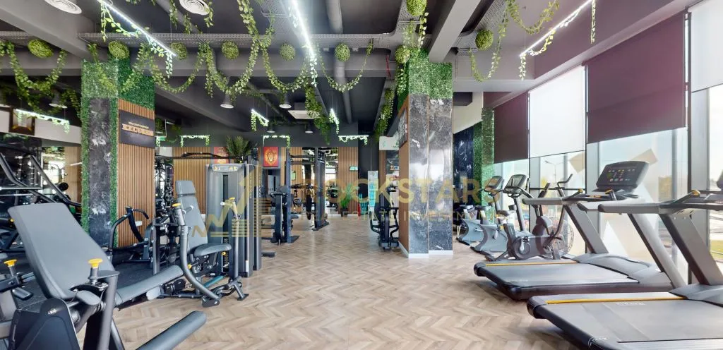 Cladire Comerciala Investitie Pantelimon Bd Biruintei Randament 7