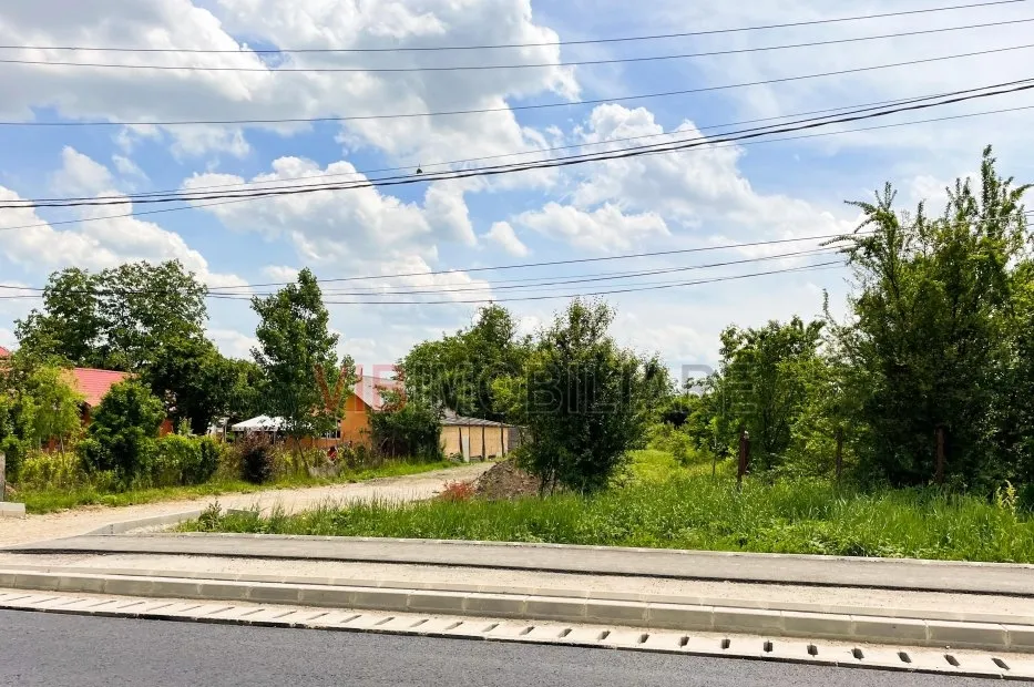 Balotesti Caciulati teren intravilan suprafata 2 596 mp