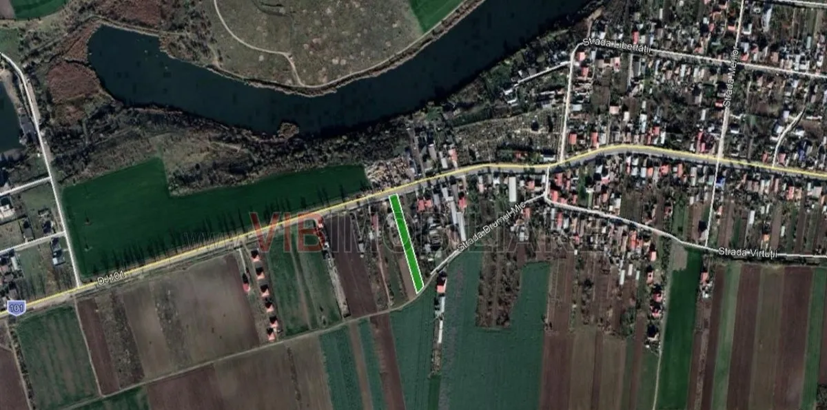 Balotesti Caciulati teren intravilan suprafata 2 596 mp