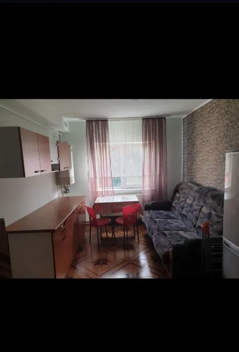 Apartament 1 camera living bucatarie zona Plopilor