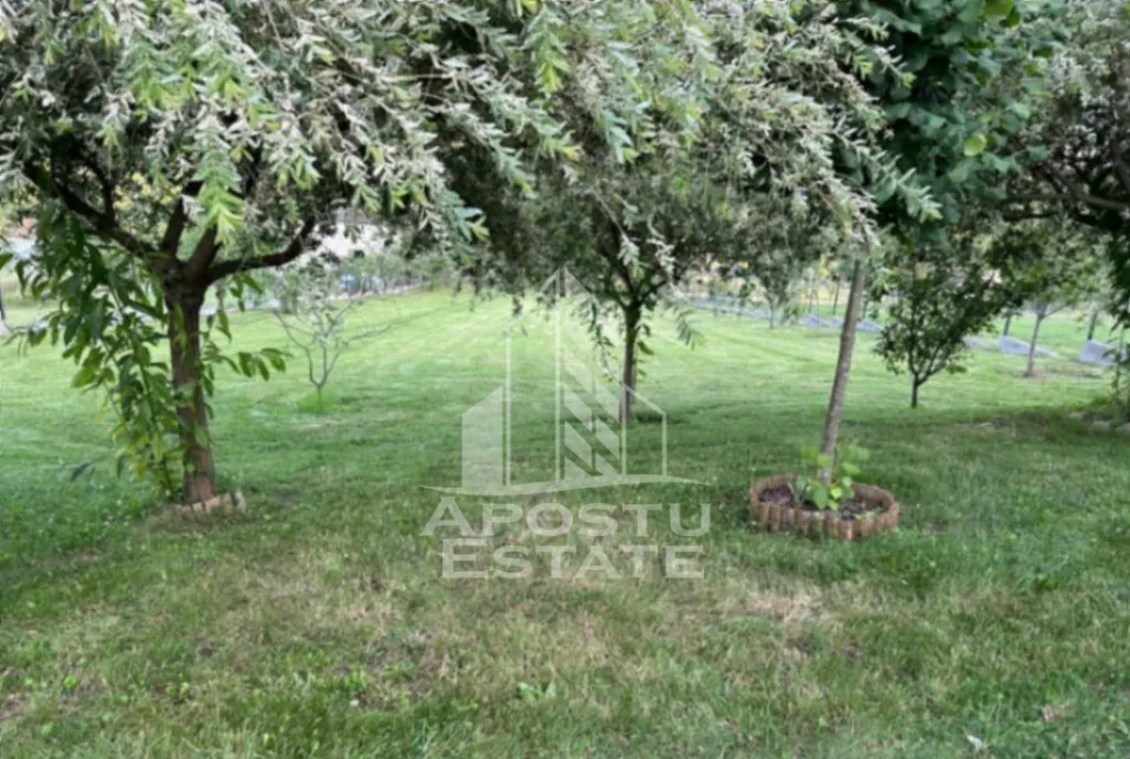 Casa de vacanta cu teren 31 300 Nadas 38 km de Timisoara