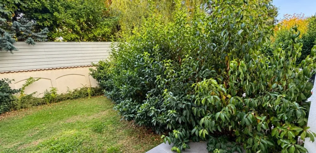2 camere birou I Gradina generoasa I Loc de parcare I Petrom City