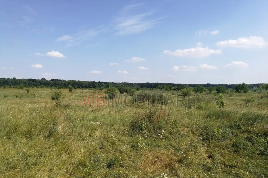 Baneasa Piscul Reghiului teren intravilan suprafata 727 mp