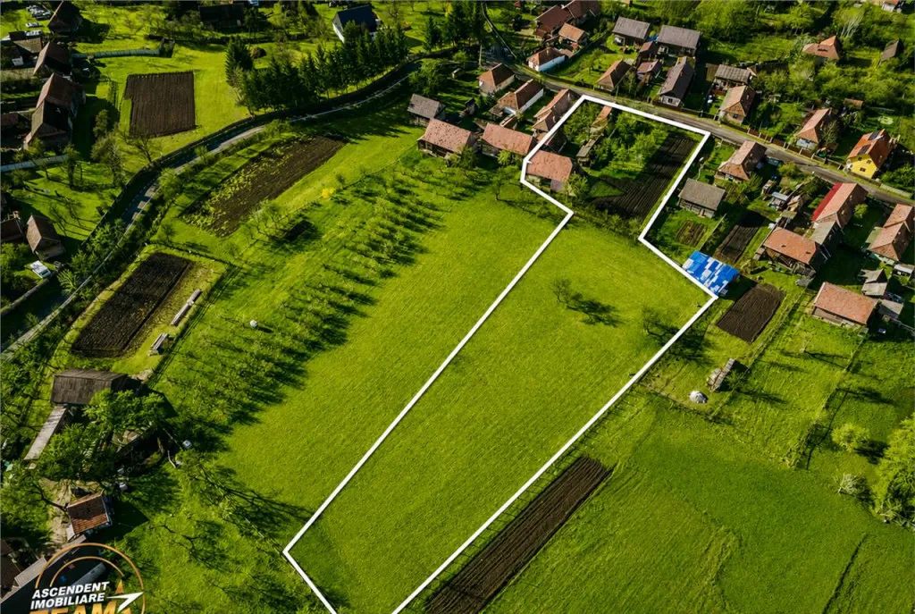 Film Casa si anexe pe domeniu de 6 221mp livada pomi fru