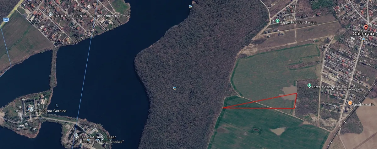 Cernica langa padure teren intravilan 24 000 mp