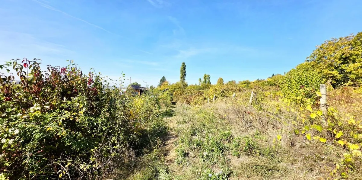 Viisoara Stefanesti Arges teren intravilan de 1 800 mp langa crama