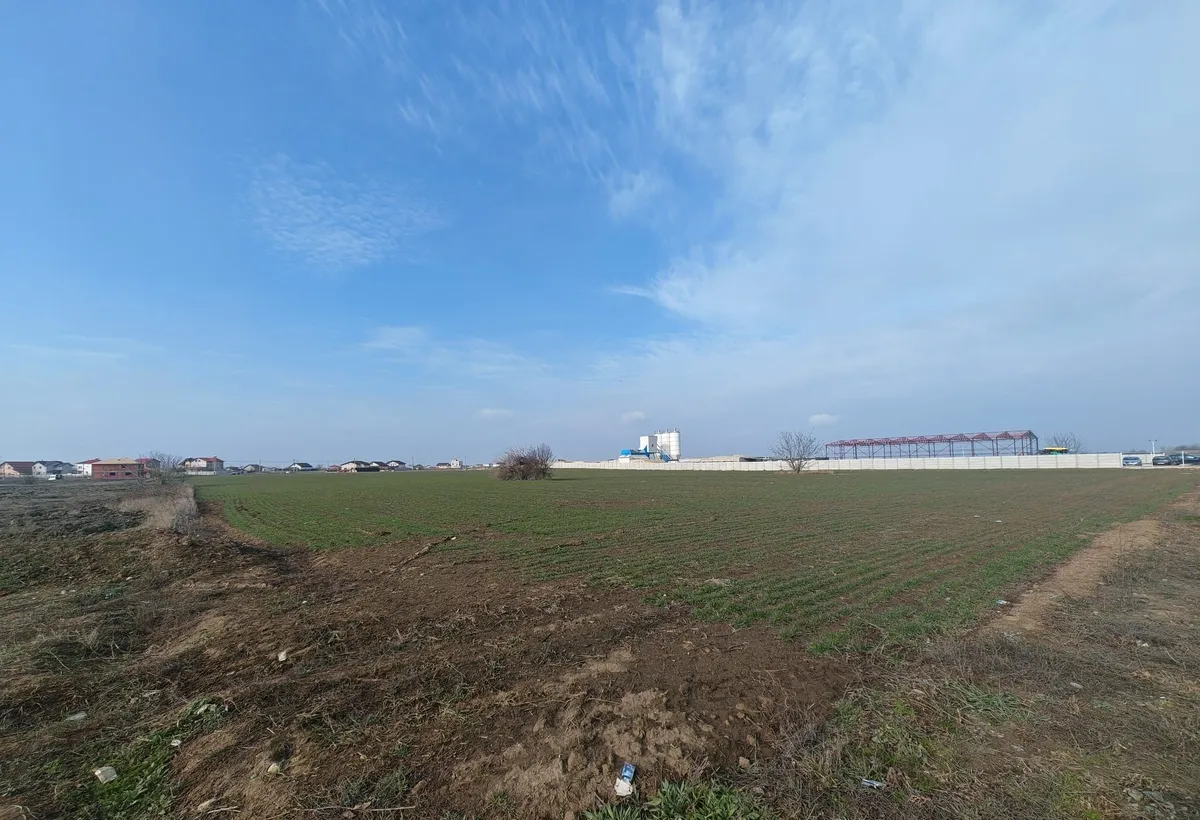 Dragomiresti Valea langa centura teren 15 600 mp 28 E/mp