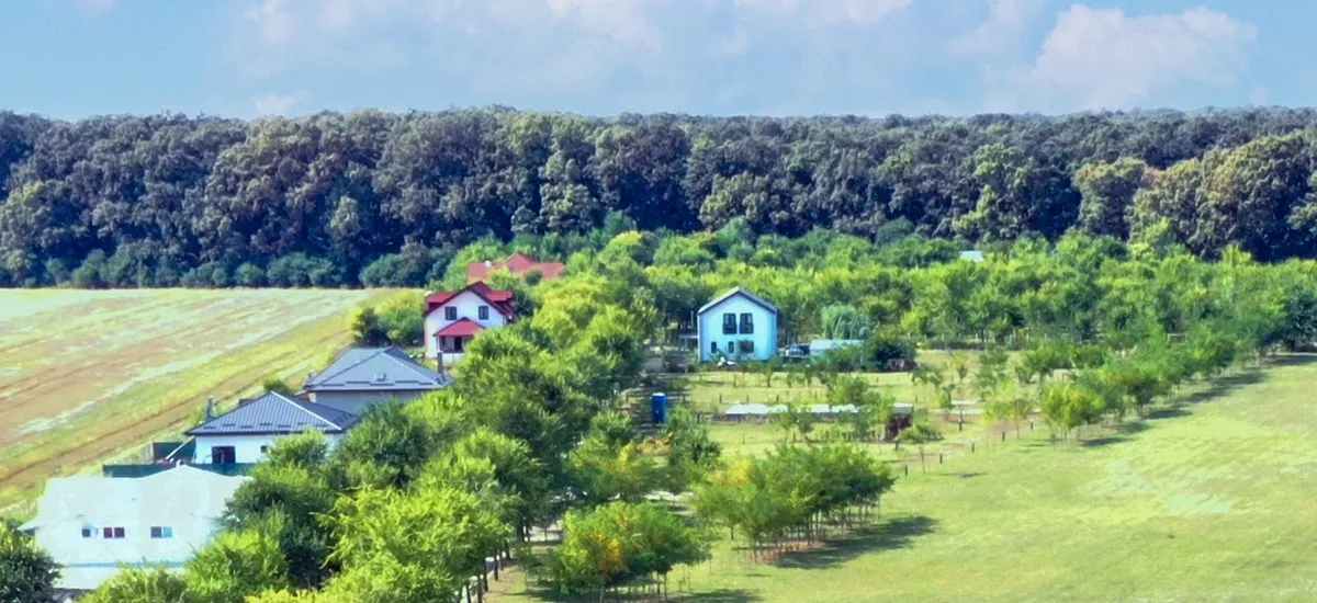 Ilfov Strada Padurii