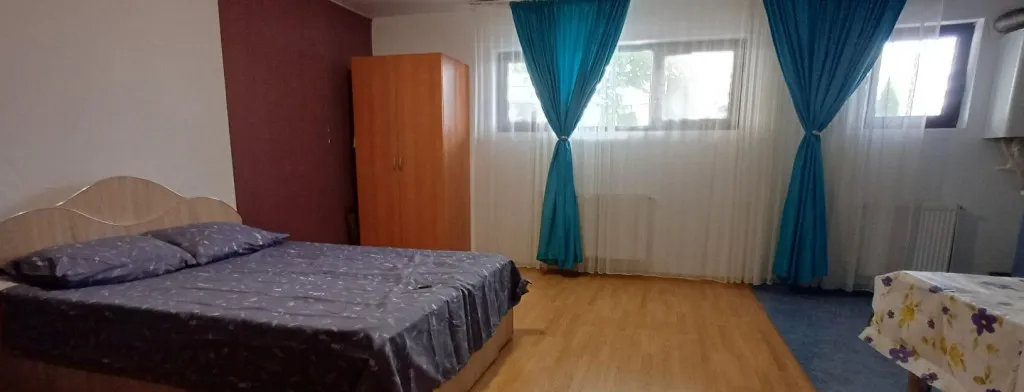 Dimitrie leonida berceni demisol