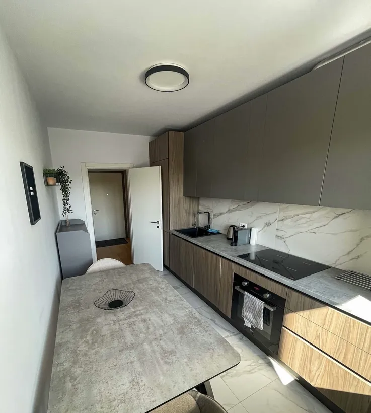 Herastrau Parkview apartament 2 camere de inchiriat etaj 3/7 70 mp