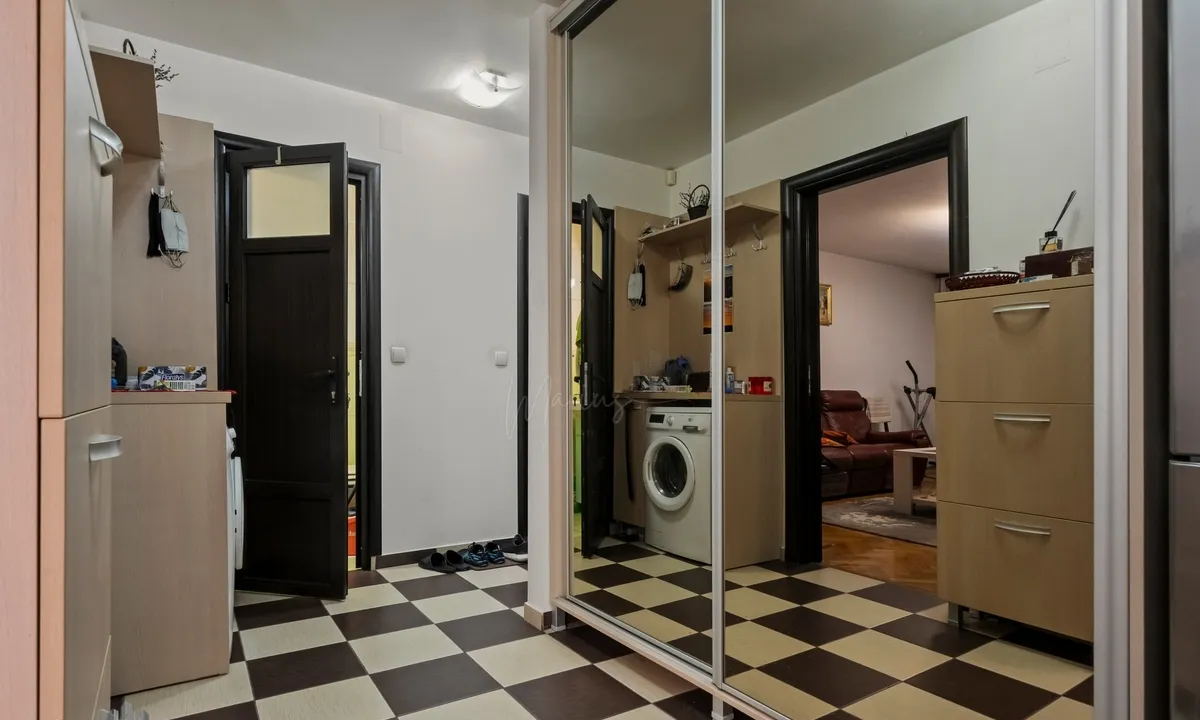 Costin Georgian Intrarea Badeni