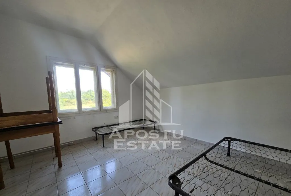 Casa de vanzare potential pensiune pe malul Timisului Sag