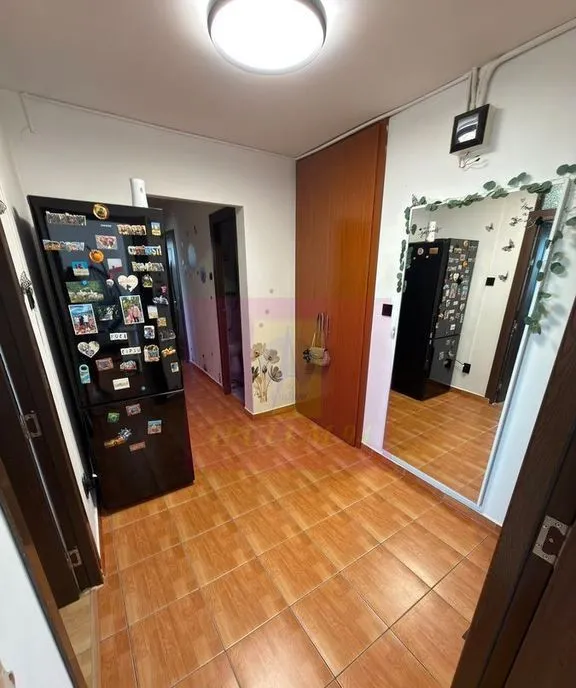 Ap 3 cam Berceni Oltenitei