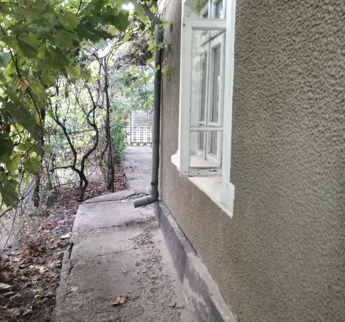 Casa terenuri in Balta Alba Buzau la 22 km de Ramnicul Sarat
