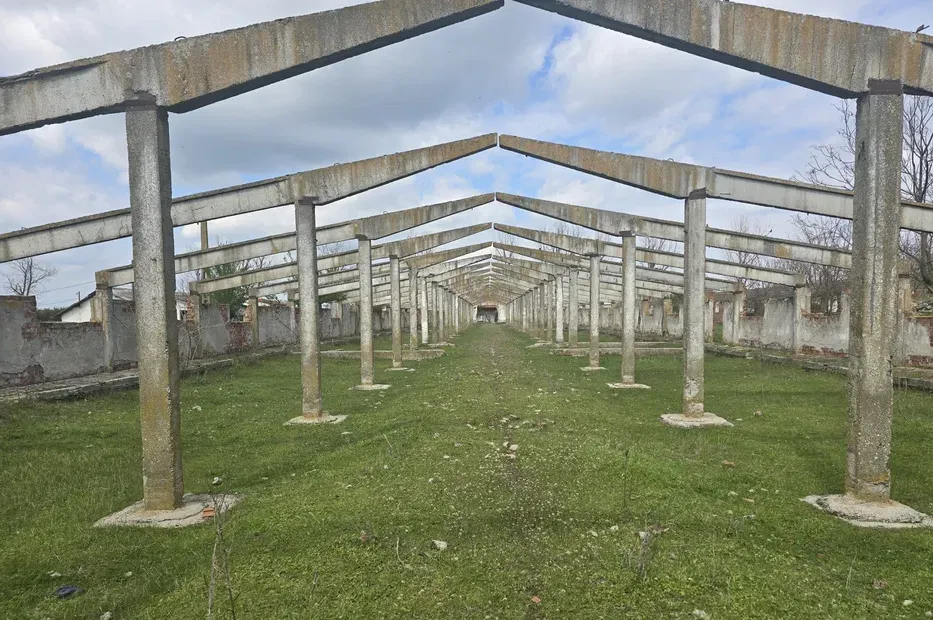 Izvoarele jud Giurgiu ferma cu teren de 25 ha de vanzare