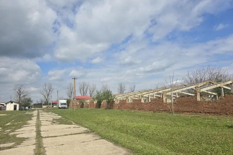 Izvoarele jud Giurgiu ferma cu teren de 25 ha de vanzare