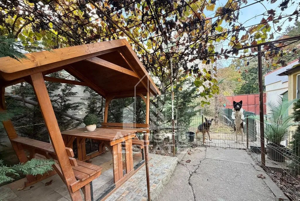 Casa de vanzare 320 mp teren Sagului Timisoara