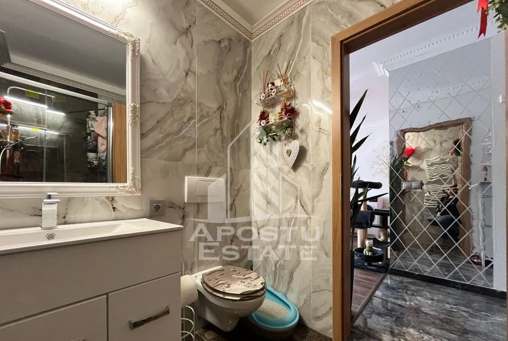 Apartament de vanzare Calea Torontalului Cetatii centrala boxa