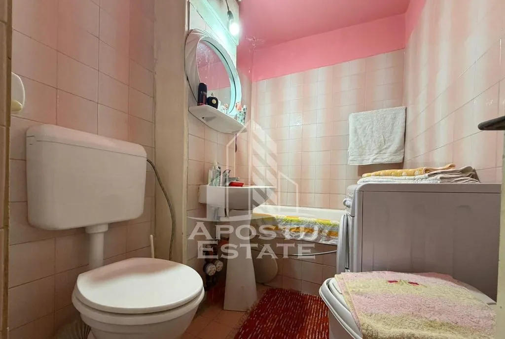 Apartament cu 2 camere de vanzare zona Dambovita Timisoara
