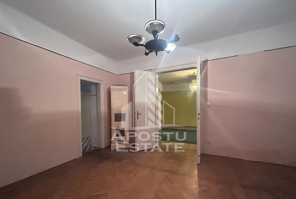 Casa pe 2 nivele in Timisoara zona Balcescu