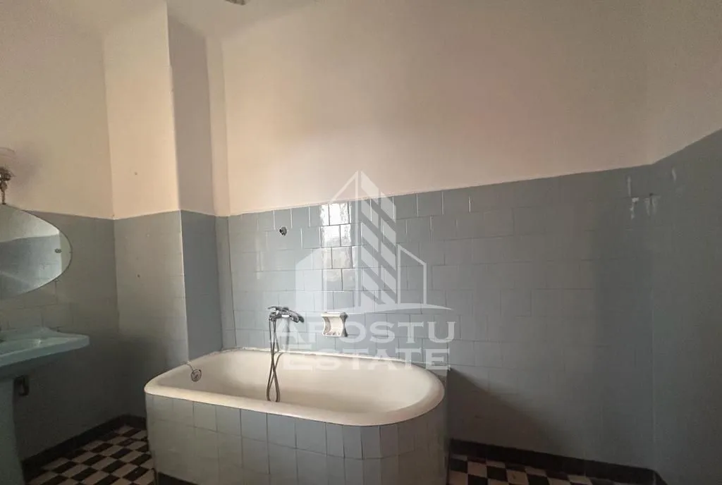 Casa pe 2 nivele in Timisoara zona Balcescu