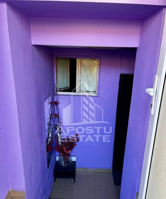 Apartament 1 camera de vanzare Complexul Studentesc Timisoara