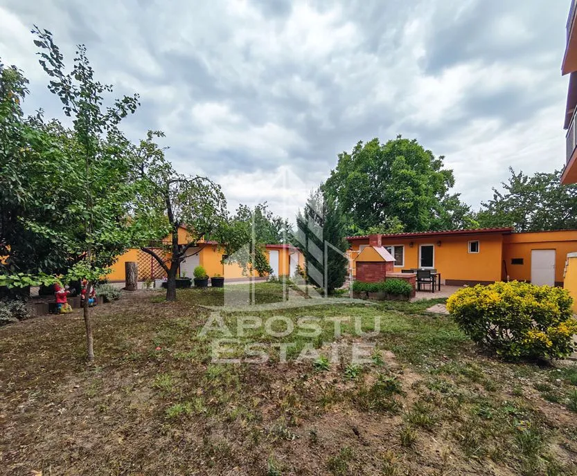 Casa de vanzare cu 11 camere an 2000 Lipovei Timisoara