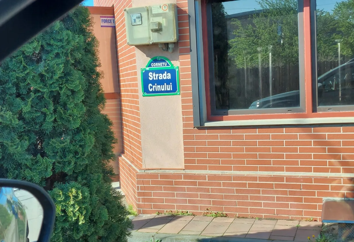 Bragadiru vanzare teren intravilan