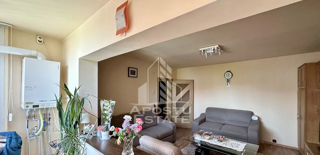 Apartament de vanzare cu 3 camere decomandat Aradului Timisoara