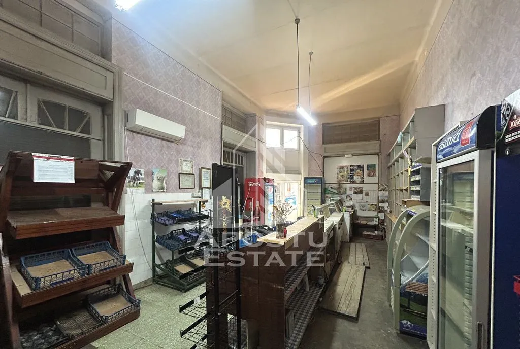 Spatiu comercial stradal 110 mp zona Elisabetin