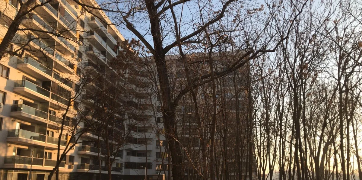 Drumul Taberei Moghioros Residence
