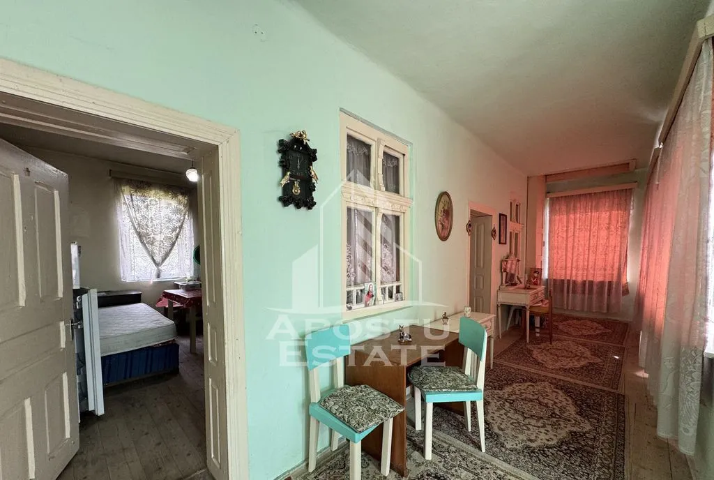 Casa batraneasca in stare foarte buna teren 5000mp Tisa Hunedoara