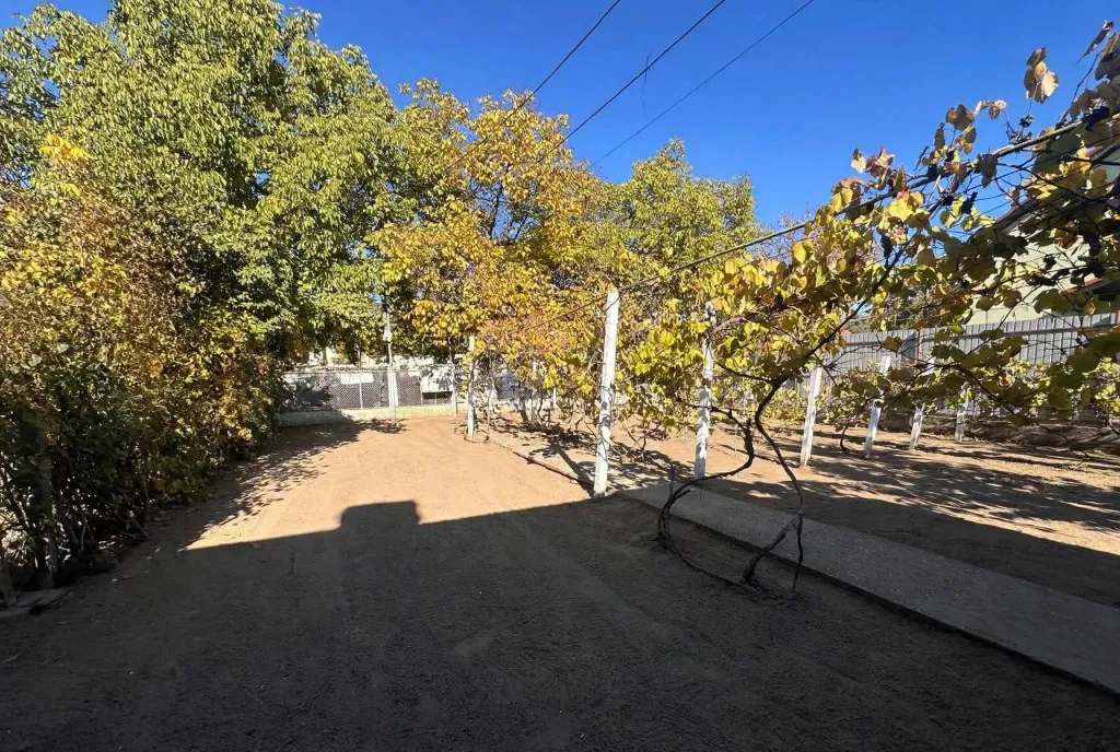 Casa cu 3 camere 781 Mp teren Timisoara