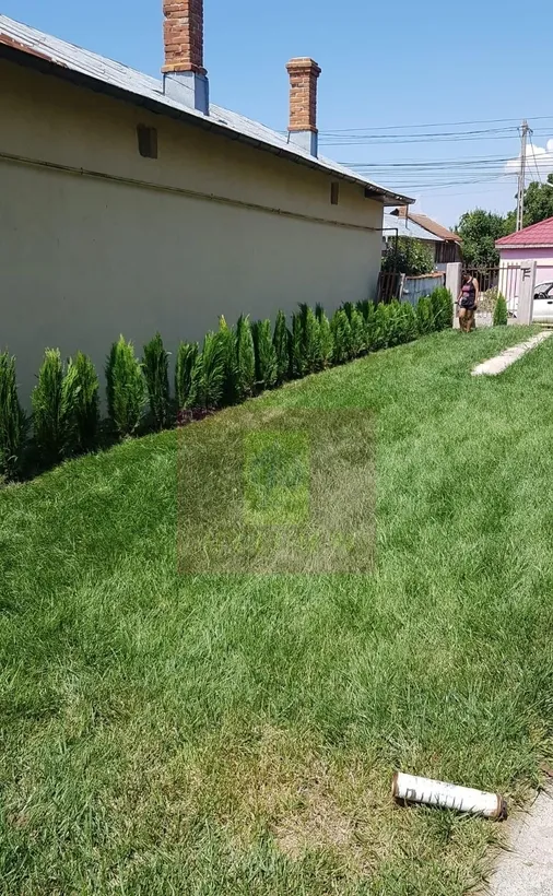 Vila cu arhitectura eleganta si gradina generoasa 5 came